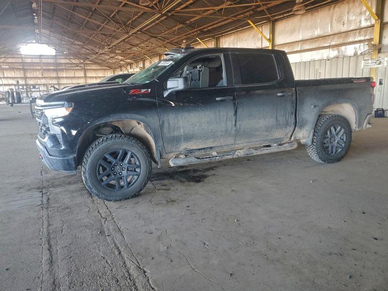 CHEVROLET SILVERADO 2024 with VIN 3GCUDCE89RG176317 - Photo from auction