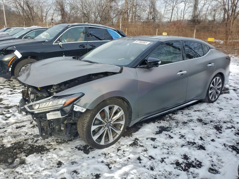 NISSAN MAXIMA PLA 2023 with VIN 1N4AA6FVXPC511897 - Photo from auction