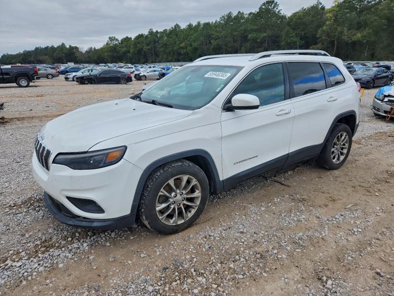 JEEP CHEROKEE L 2019 with VIN 1C4PJLLN6KD316759 - Photo from auction
