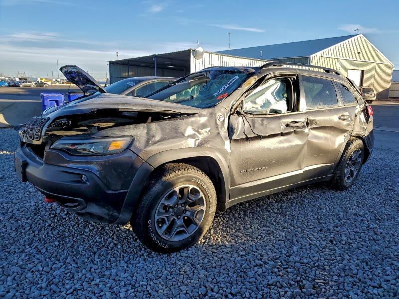 JEEP CHEROKEE T 2022 with VIN 1C4PJMBX4ND516133 - Photo from auction