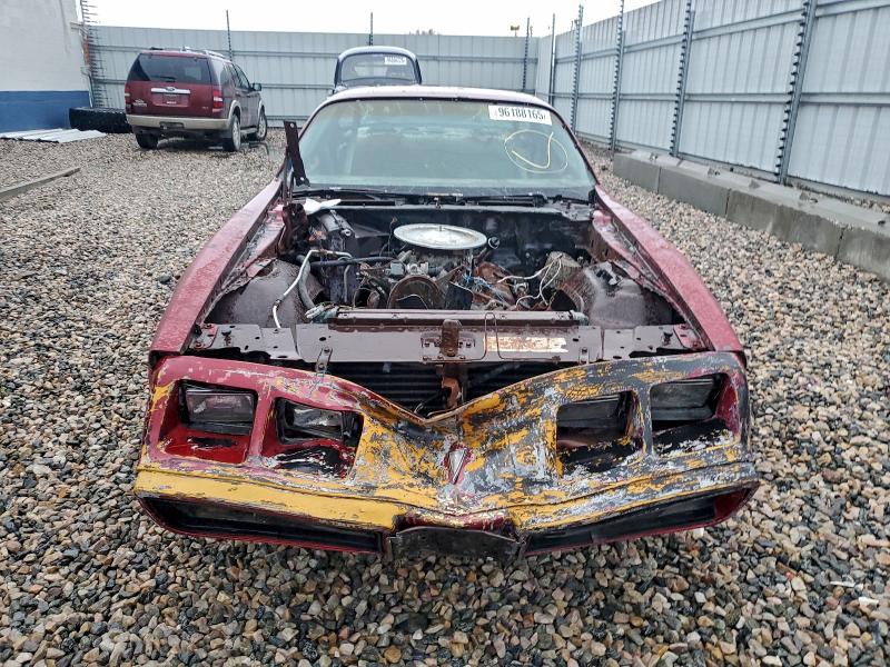 Photo 5 from auction – 1981 PONTIAC FIREBIRD with VIN 1G2AW87W8BL101255
