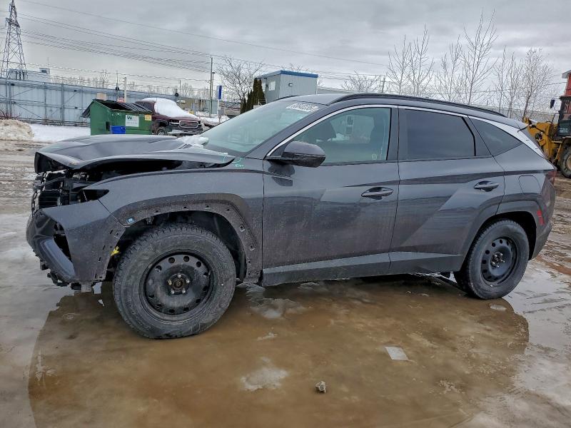 HYUNDAI TUCSON SEL 2023 with VIN KM8JBCAE3PU198498 - Photo from auction