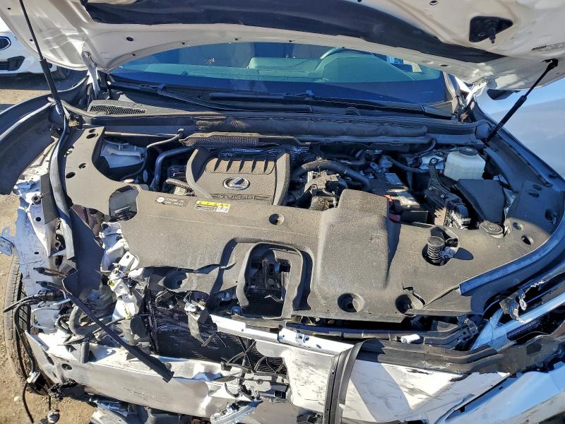 Photo 12 from auction – 2024 LEXUS RX 350 BAS with VIN 2T2BAMCA5RC054992