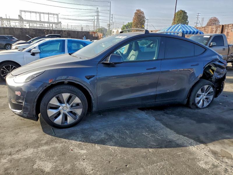 TESLA MODEL Y 2024 with VIN 7SAYGDEE2RA217459 - Photo from auction