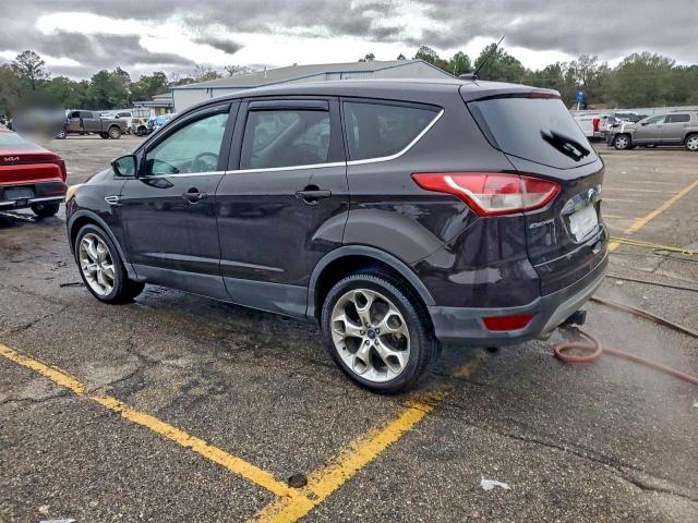 Photo 2 from auction – 2013 FORD ESCAPE SEL with VIN 1FMCU0HX1DUD49391