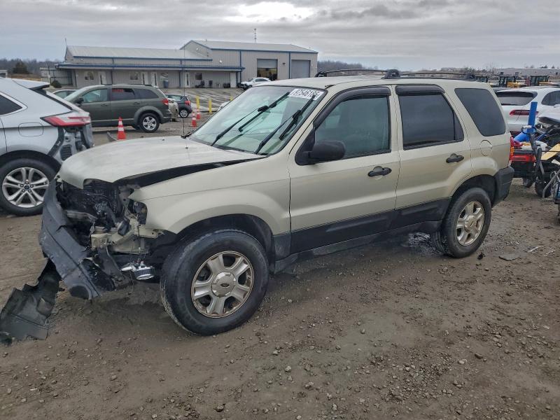 FORD ESCAPE XLT 2005 with VIN 1FMYU93175KB75448 - Photo from auction