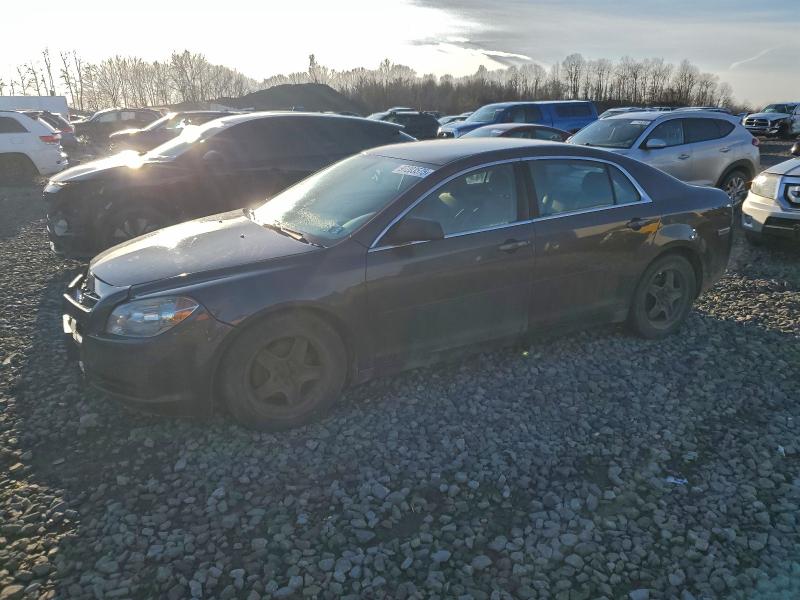 CHEVROLET MALIBU LS 2010 with VIN 1G1ZB5EB7AF294254 - Photo from auction