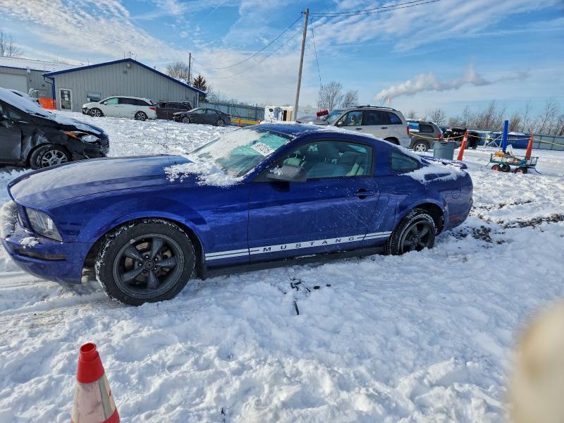 FORD MUSTANG 2005 with VIN 1ZVFT80N855226791 - Photo from auction
