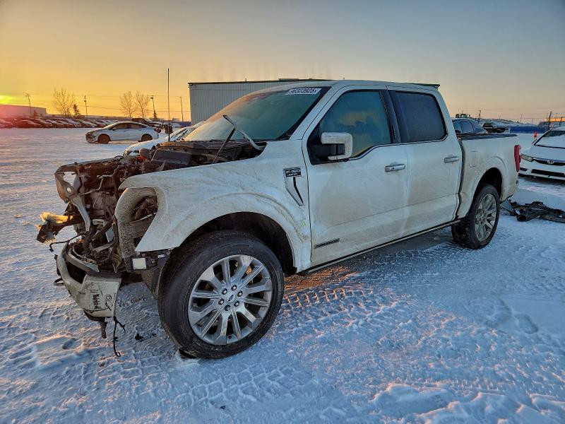 FORD F150 SUPER 2023 with VIN 1FTFW1EDXPFA13632 - Photo from auction