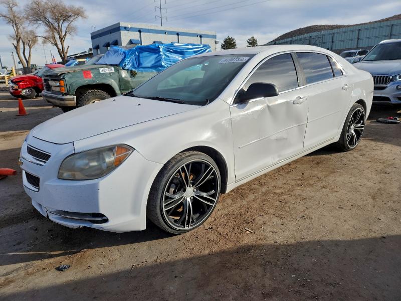 CHEVROLET MALIBU 2010 with VIN 1G1ZC5EB8AF304741 - Photo from auction