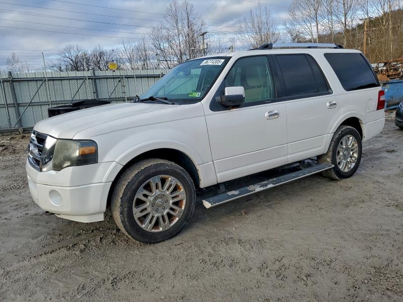 FORD EXPEDITION 2011 with VIN 1FMJU2A52BEF19891 - Photo from auction