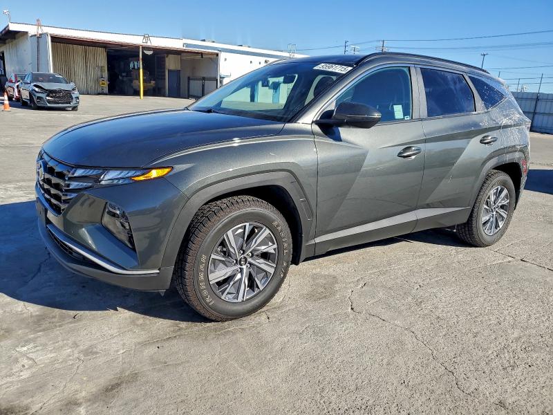 HYUNDAI TUCSON 2023 with VIN KM8JBCA18PU086101 - Photo from auction