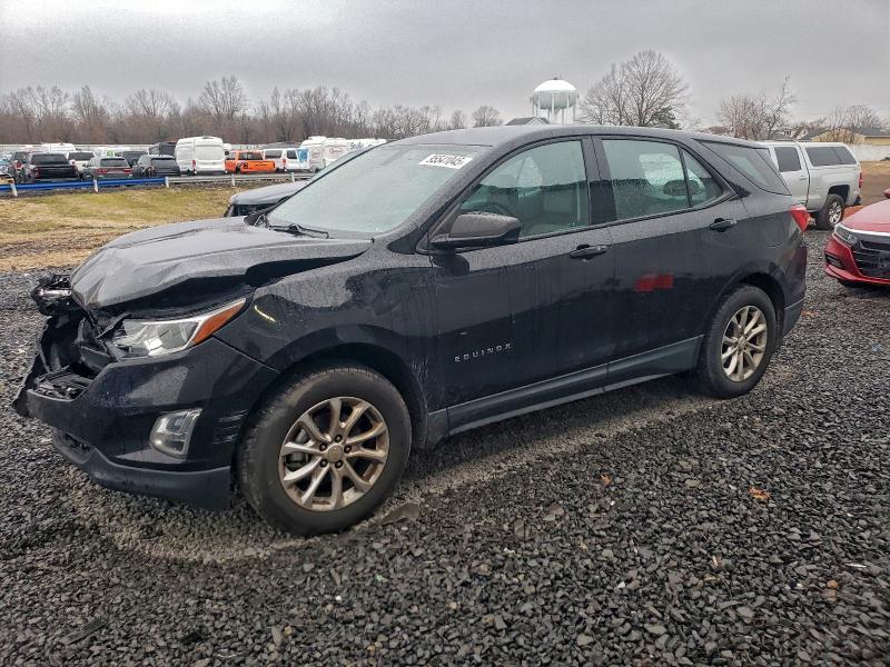 CHEVROLET EQUINOX LS 2019 with VIN 2GNAXHEV3K6138359 - Photo from auction