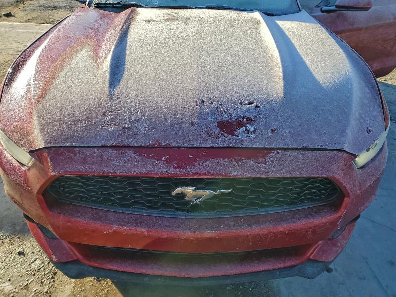 Photo 11 from auction – 2015 FORD MUSTANG with VIN 1FA6P8TH3F5302616