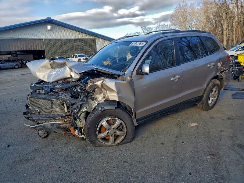 HYUNDAI SANTA FE G 2007 with VIN 5NMSG73DX7H065783 - Photo from auction