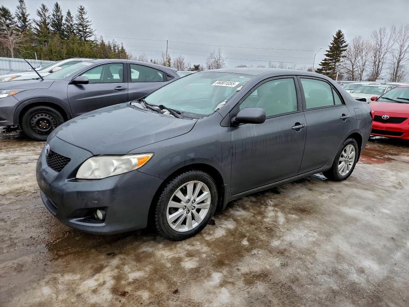 TOYOTA COROLLA BA 2009 with VIN 2T1BU40E49C085542 - Photo from auction