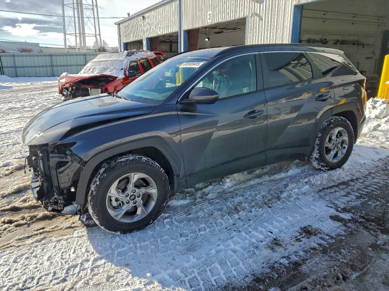 HYUNDAI TUCSON SEL 2024 with VIN KM8JBCDE9RU285840 - Photo from auction