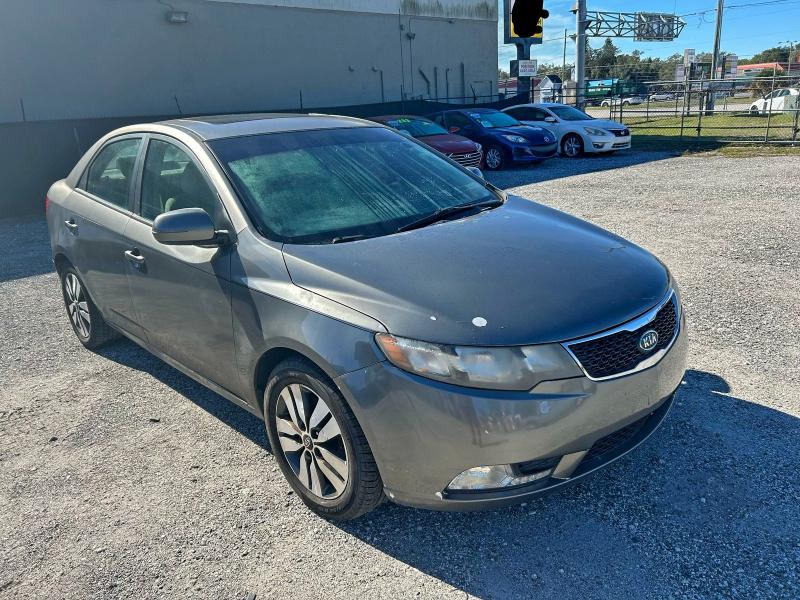 KIA FORTE EX 2013 with VIN KNAFU4A22D5655692 - Photo from auction