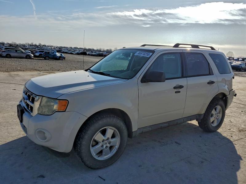 FORD ESCAPE XLT 2009 with VIN 1FMCU03G39KA50334 - Photo from auction
