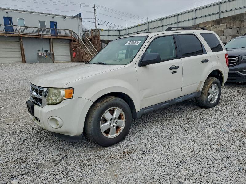 FORD ESCAPE XLT 2010 with VIN 1FMCU0D78AKD44167 - Photo from auction