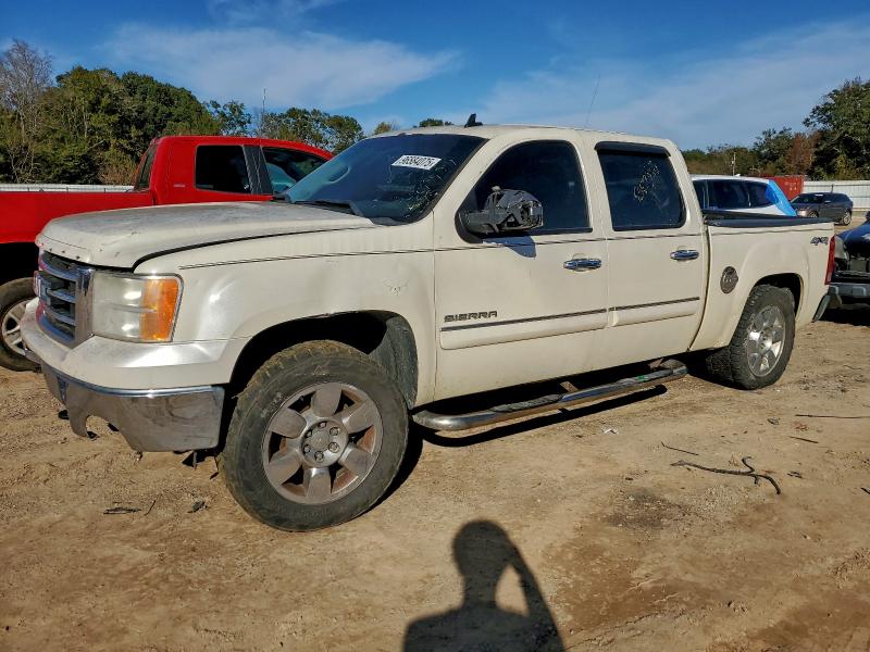 GMC SIERRA 2013 with VIN 3GTP2VE73DG292921 - Photo from auction