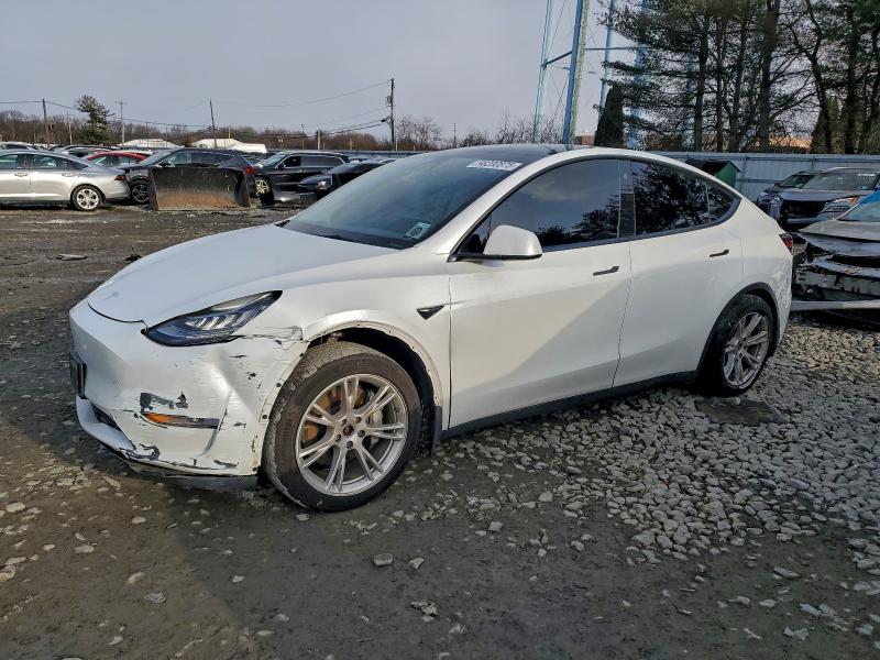 TESLA MODEL Y 2021 with VIN 5YJYGAEE4MF234271 - Photo from auction