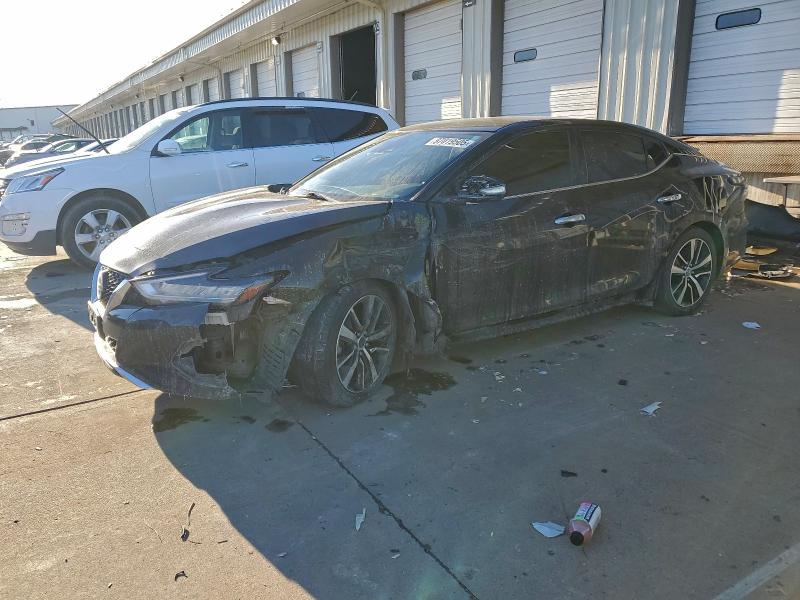 NISSAN MAXIMA SV 2021 with VIN 1N4AA6CV1MC514915 - Photo from auction