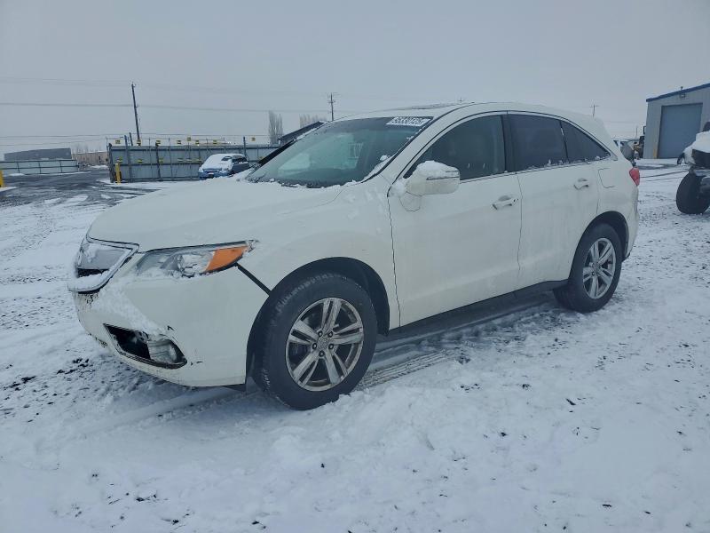 ACURA RDX TECHNO 2013 with VIN 5J8TB4H52DL000098 - Photo from auction