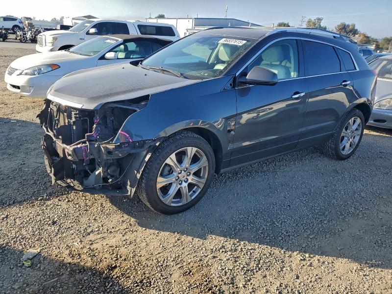CADILLAC SRX PERFOR 2013 with VIN 3GYFNDE30DS542777 - Photo from auction