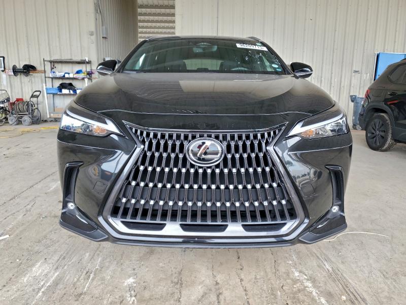 Zdjęcie 5 z aukcji – 2024 LEXUS NX 250 BAS z VIN 2T2ADCAZ5RC015048