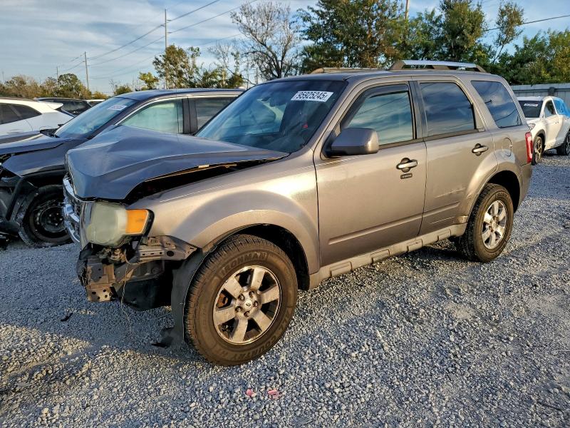 Photo 1 from auction – 2009 FORD ESCAPE LIM with VIN 1FMCU04G89KB15032