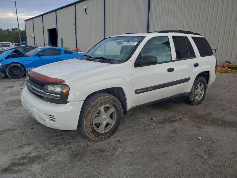CHEVROLET TRAILBLAZE 2004 with VIN 1GNDT13S042335255 - Photo from auction
