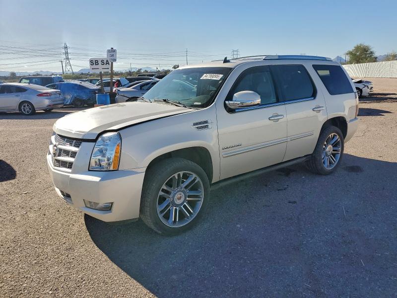 CADILLAC ESCALADE P 2013 z numerem VIN 1GYS4CEF4DR258092 - Zdjęcie z aukcji