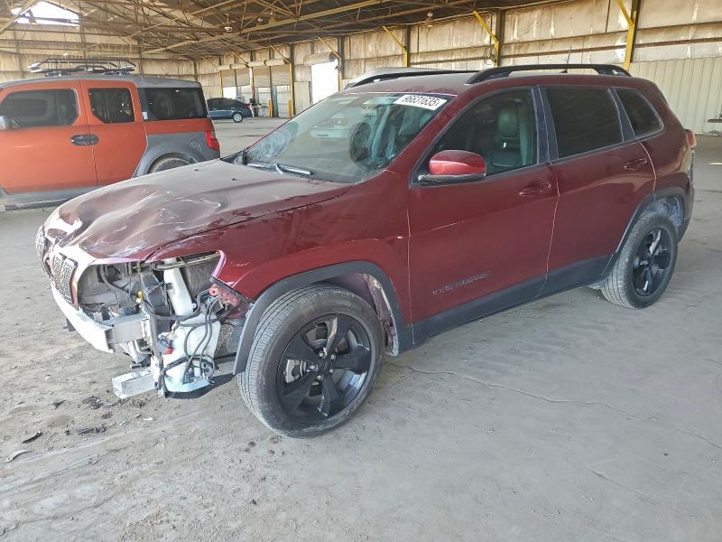 JEEP CHEROKEE L 2019 with VIN 1C4PJLLB3KD420132 - Photo from auction
