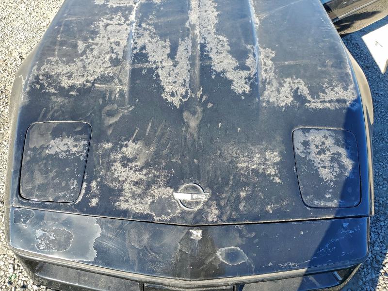 Photo 11 from auction – 1984 CHEVROLET CORVETTE with VIN 1G1AY0781E5139811