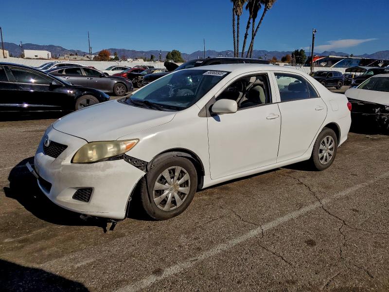 TOYOTA COROLLA BA 2009 with VIN JTDBL40E499081189 - Photo from auction