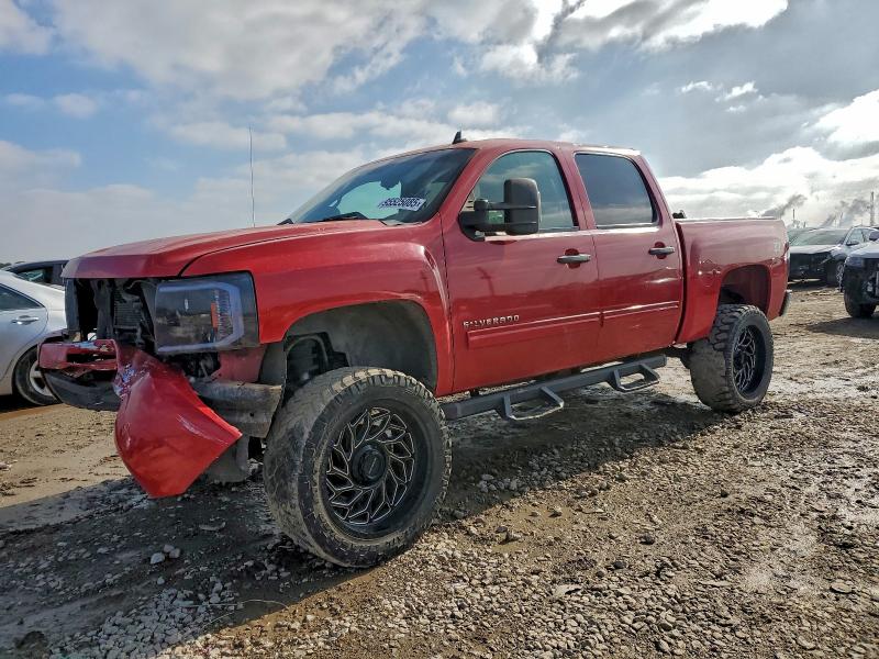 CHEVROLET SILVERADO 2009 with VIN 2GCEK23MX91113482 - Photo from auction