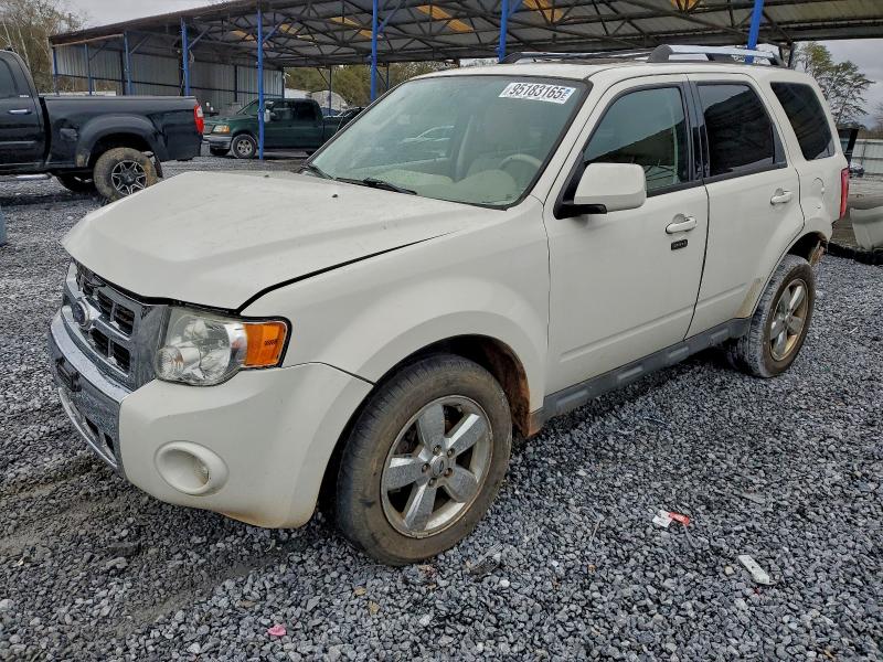 FORD ESCAPE 2011 with VIN 1FMCU9EG1BKB02602 - Photo from auction