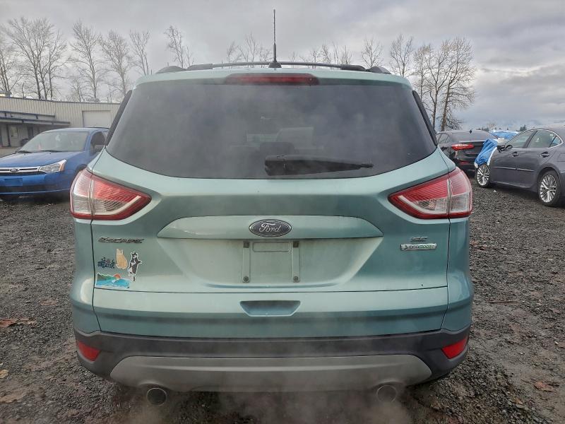 Photo 6 from auction – 2013 FORD ESCAPE SE with VIN 1FMCU0G97DUB01004