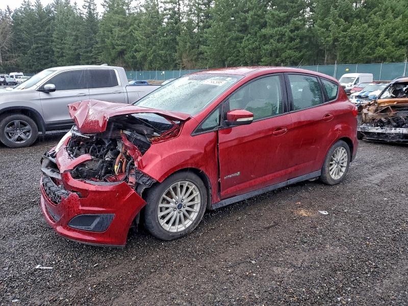 FORD C-MAX SE 2016 with VIN 1FADP5AU3GL106954 - Photo from auction
