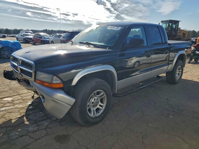 DODGE DAKOTA QUA 2003 with VIN 1D7HG48NX3S369873 - Photo from auction