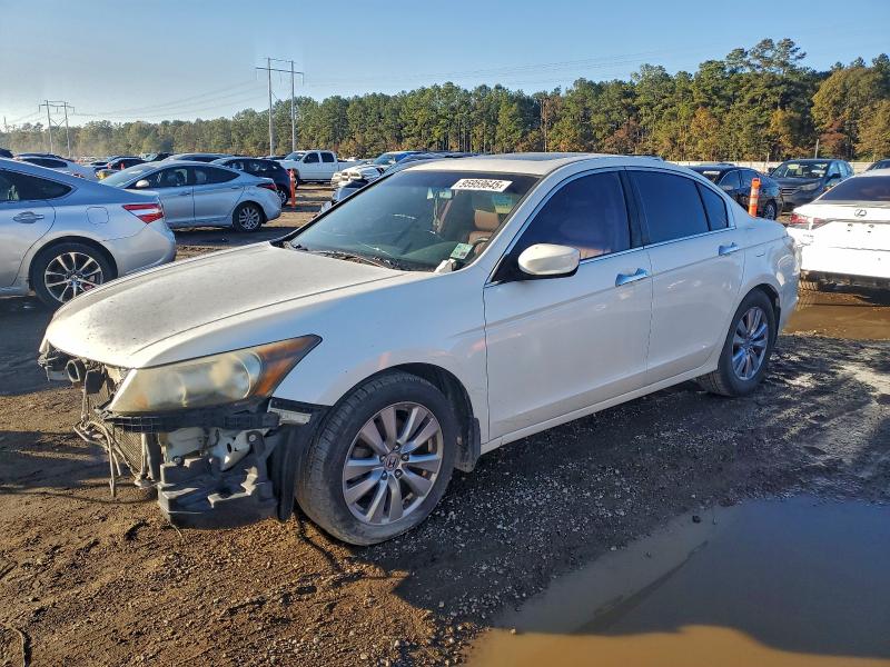 HONDA ACCORD EXL 2012 with VIN 1HGCP3F80CA041381 - Photo from auction