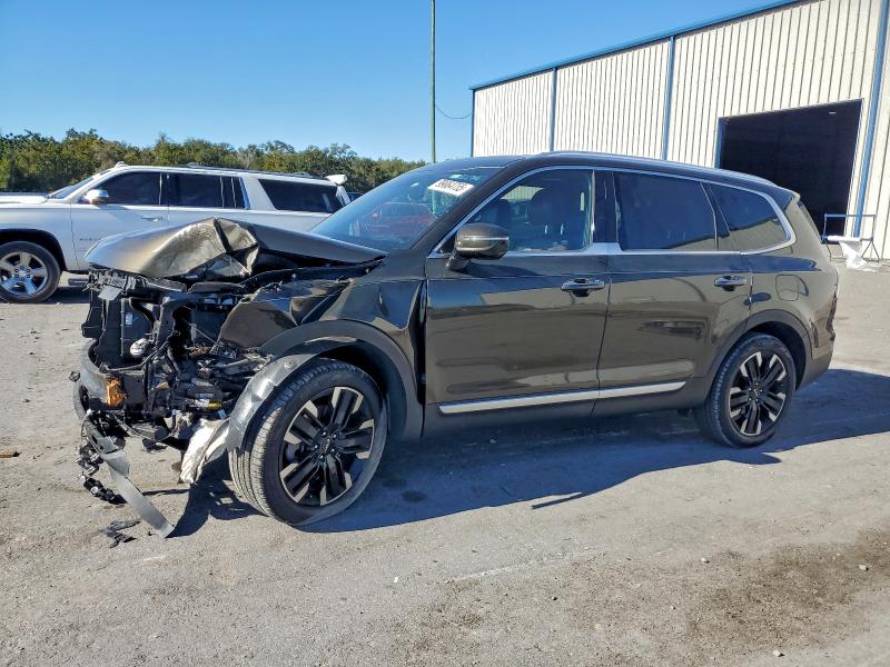 KIA TELLURIDE 2023 with VIN 5XYP5DGC7PG331833 - Photo from auction