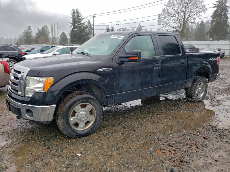 FORD F150 SUPER 2010 with VIN 1FTFW1EV7AFD89799 - Photo from auction