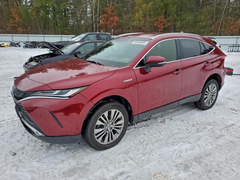 TOYOTA VENZA LE 2021 with VIN JTEAAAAH2MJ009662 - Photo from auction