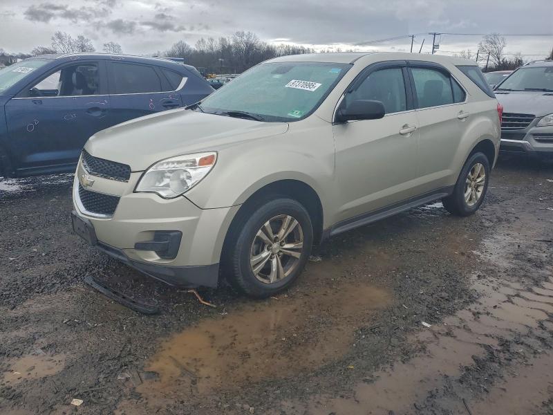 CHEVROLET EQUINOX LS 2013 with VIN 2GNALBEK0D6308369 - Photo from auction