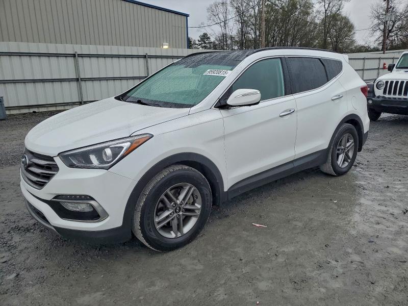 HYUNDAI SANTA FE S 2017 with VIN 5NMZU3LB7HH040985 - Photo from auction