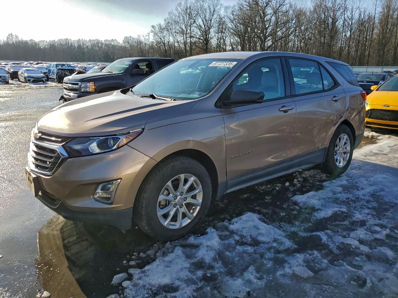 CHEVROLET EQUINOX LS 2018 with VIN 2GNAXHEV7J6155843 - Photo from auction
