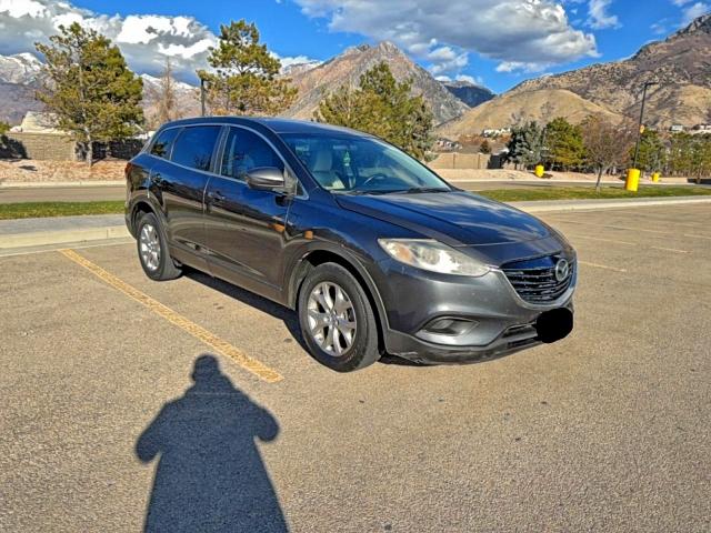 MAZDA CX-9 TOURI 2014 with VIN JM3TB2CVXE0445824 - Photo from auction