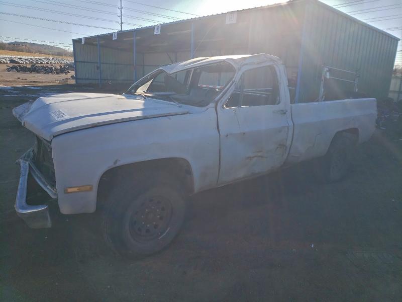 CHEVROLET C20 1984 with VIN 1GCGC24M3EJ174841 - Photo from auction